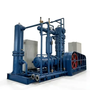 Medium & Low Pressure Natural Gas Compressor — 0.10 – 5.00 MPa | Zero Fugitive Emissions